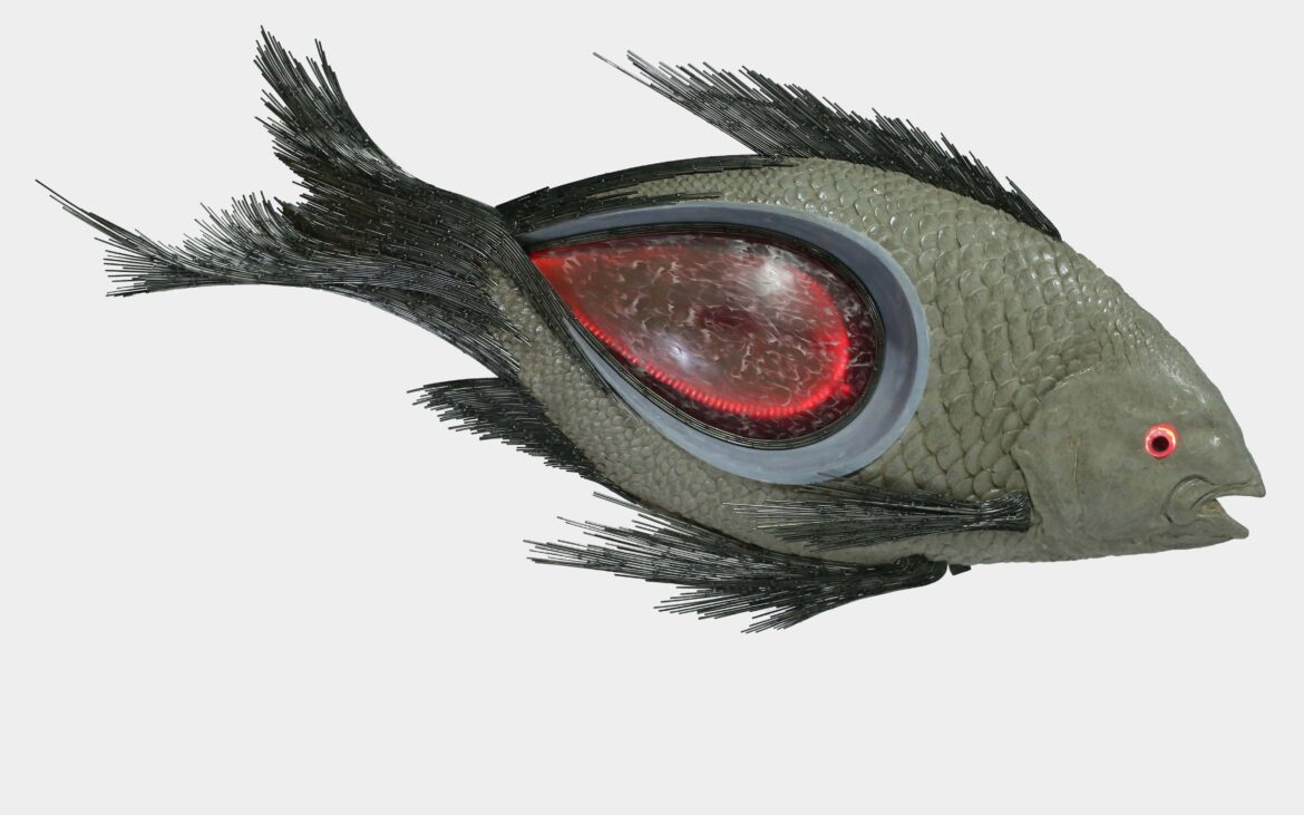 portfolio-image