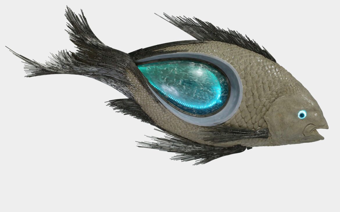 portfolio-image