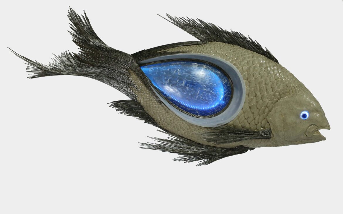 portfolio-image