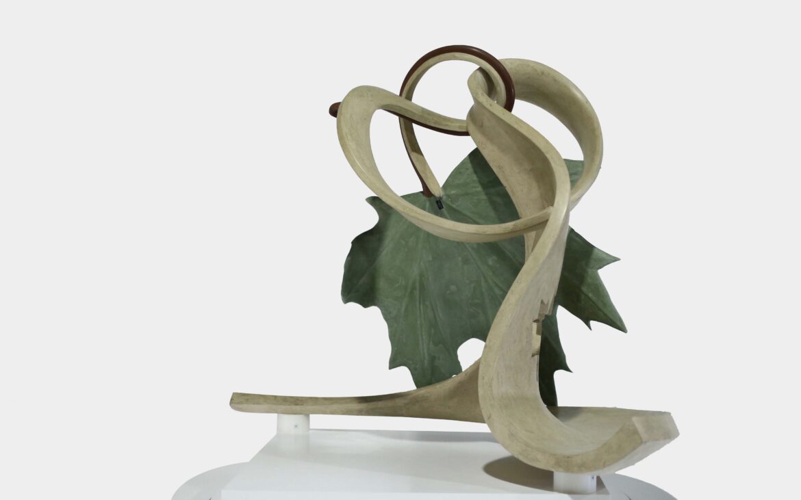 portfolio-image