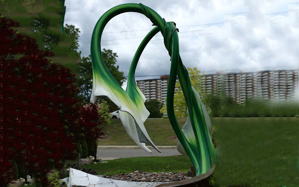 portfolio-image
