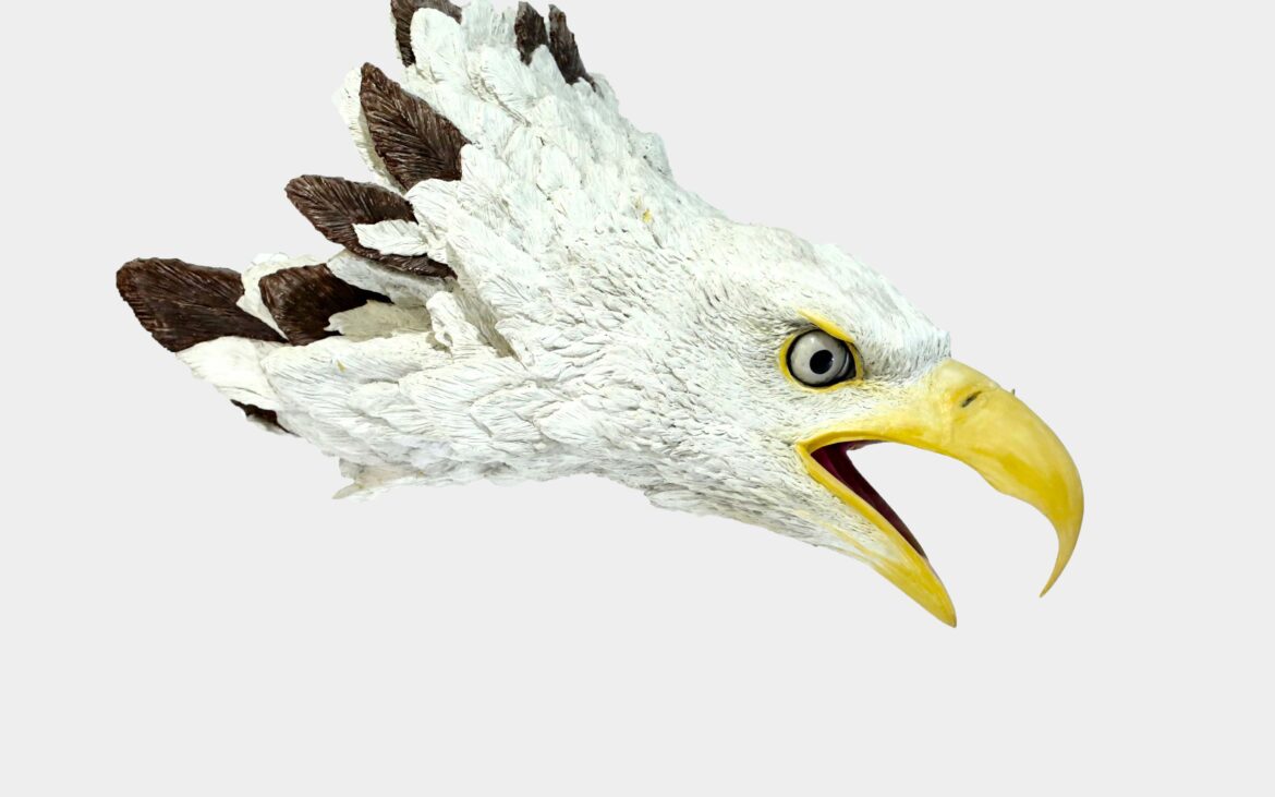 portfolio-image