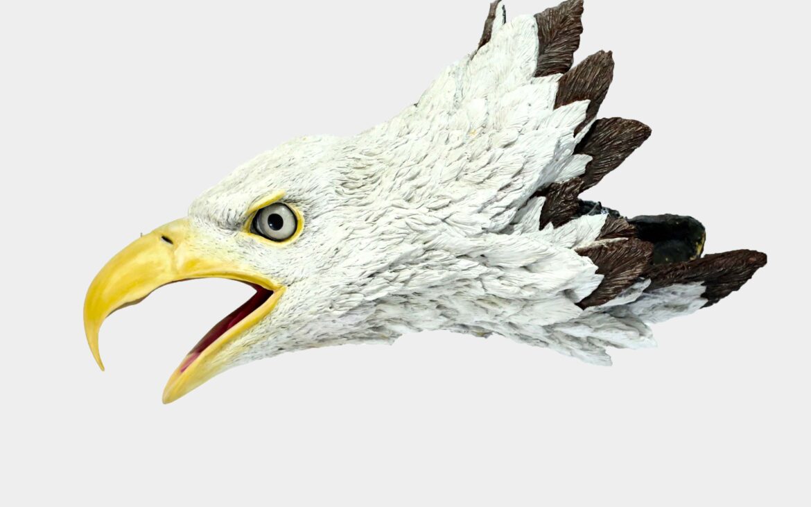 portfolio-image