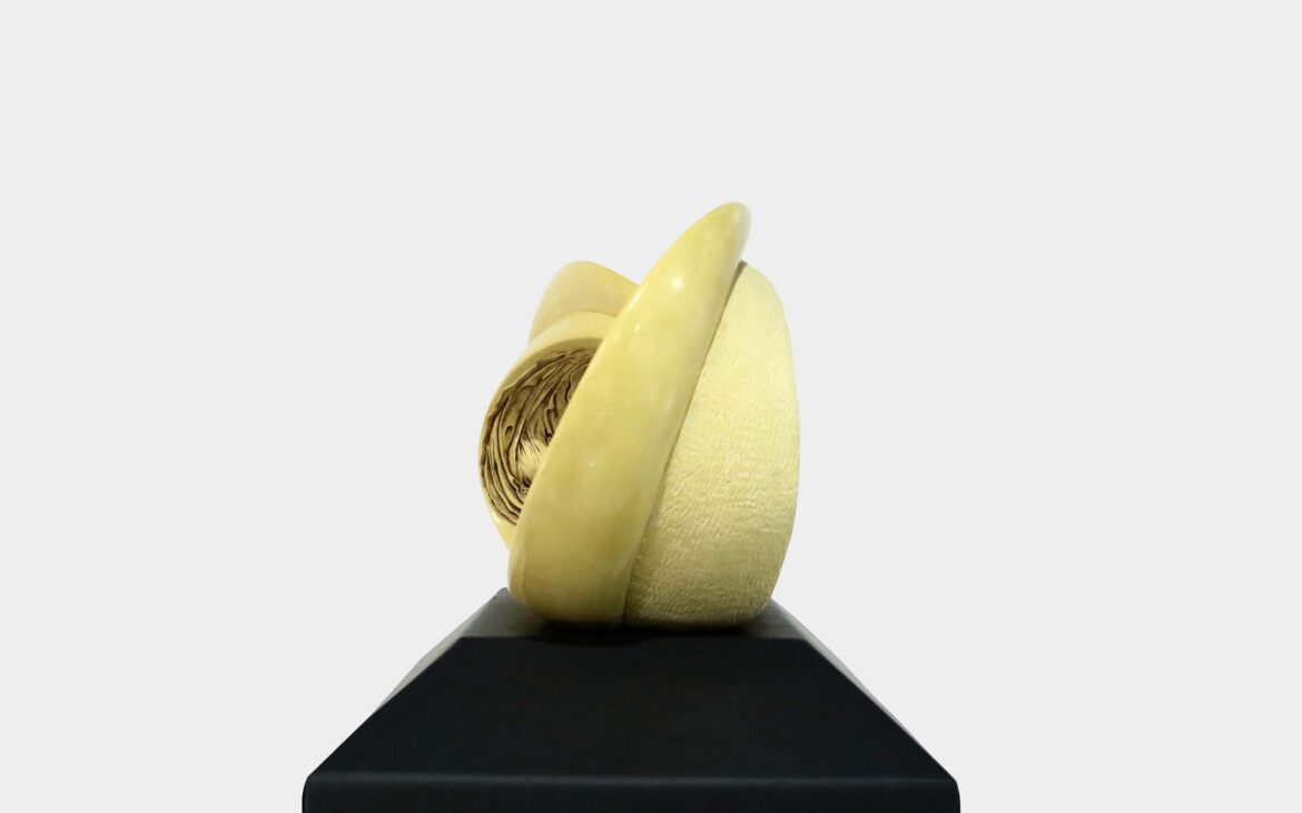 portfolio-image