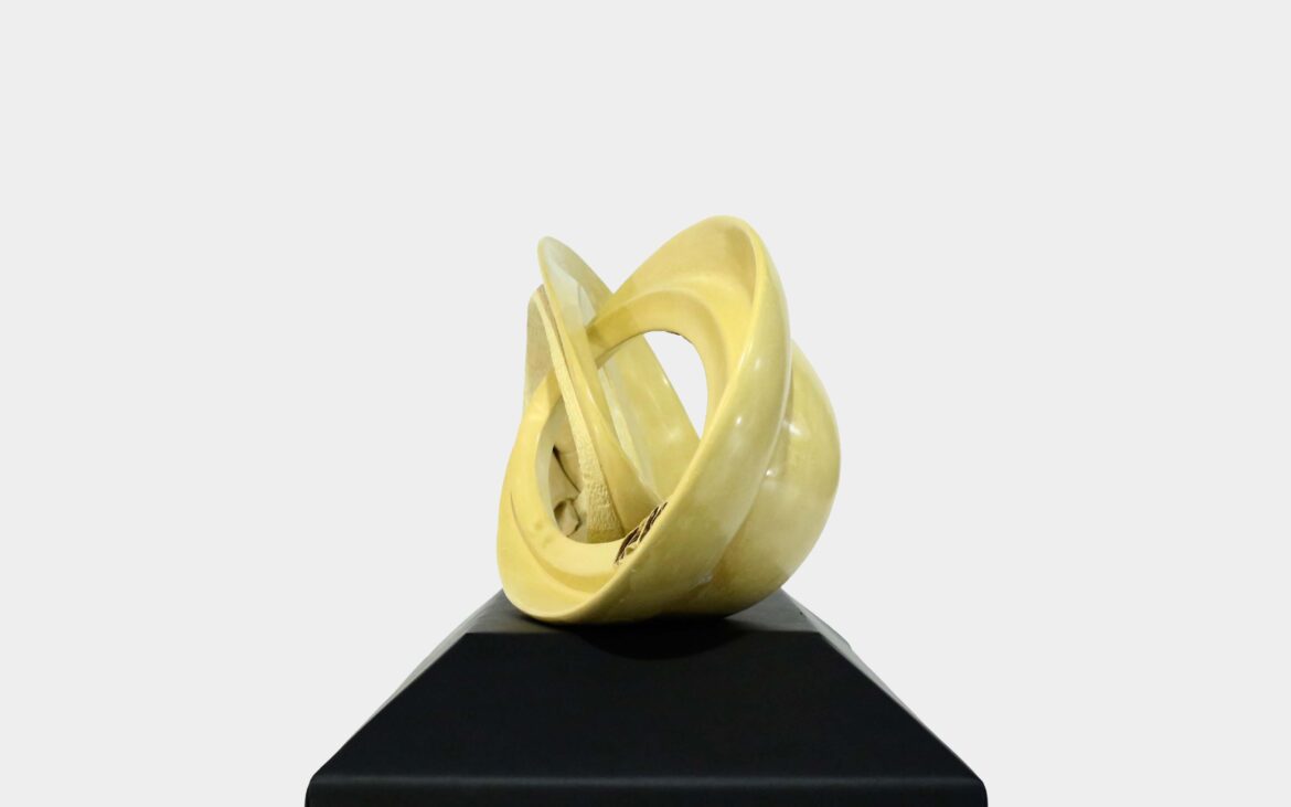 portfolio-image