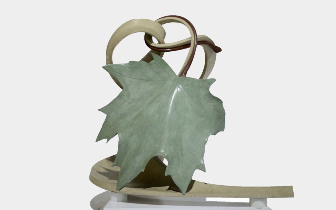 portfolio-image