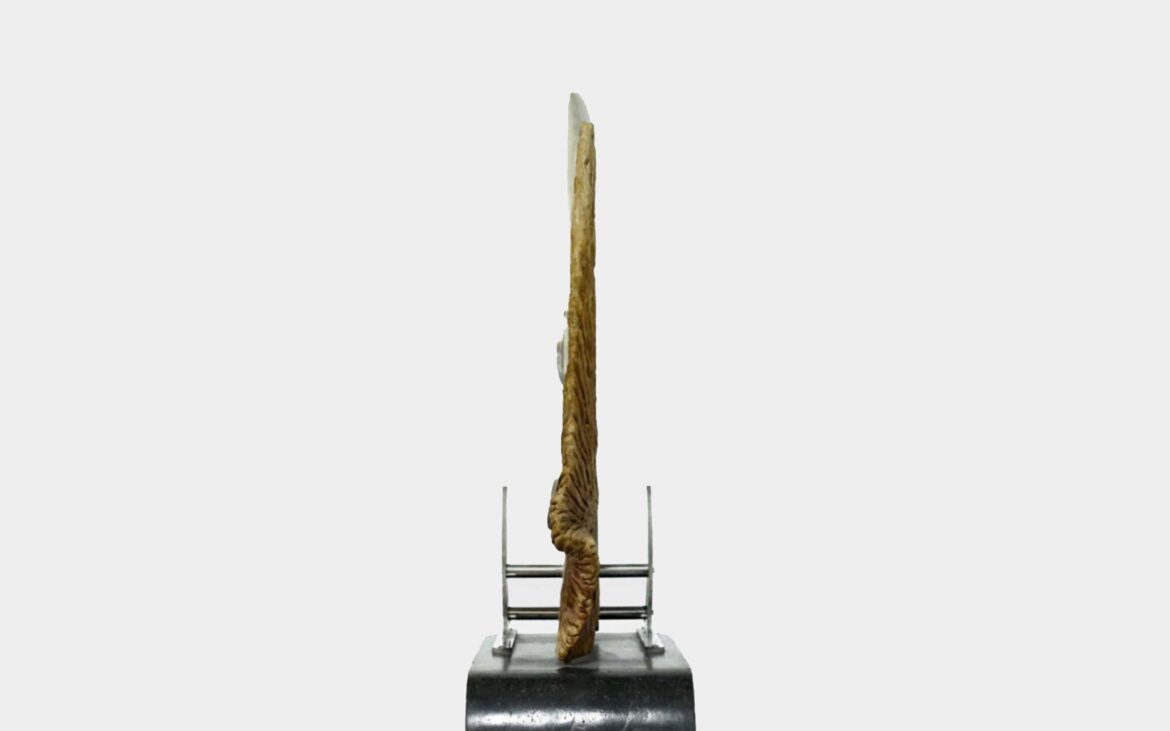 portfolio-image